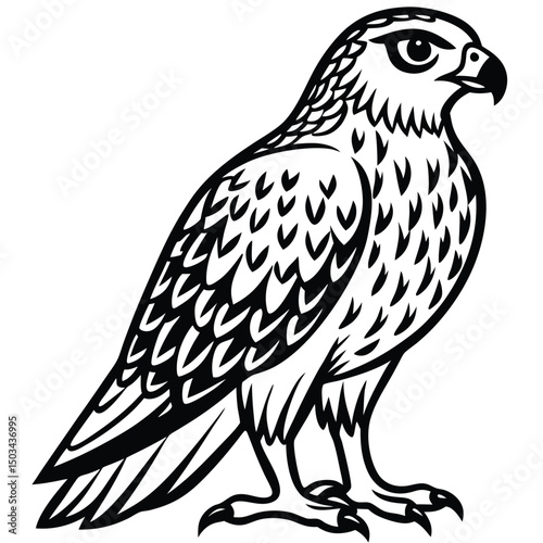 Red -Tailed Hawk vector illustration white background