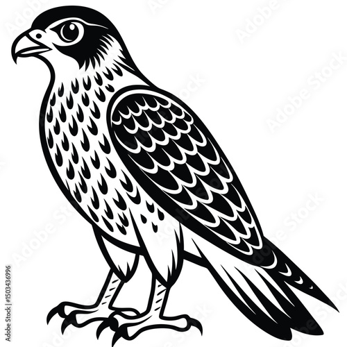 Red -Tailed Hawk vector illustration white background