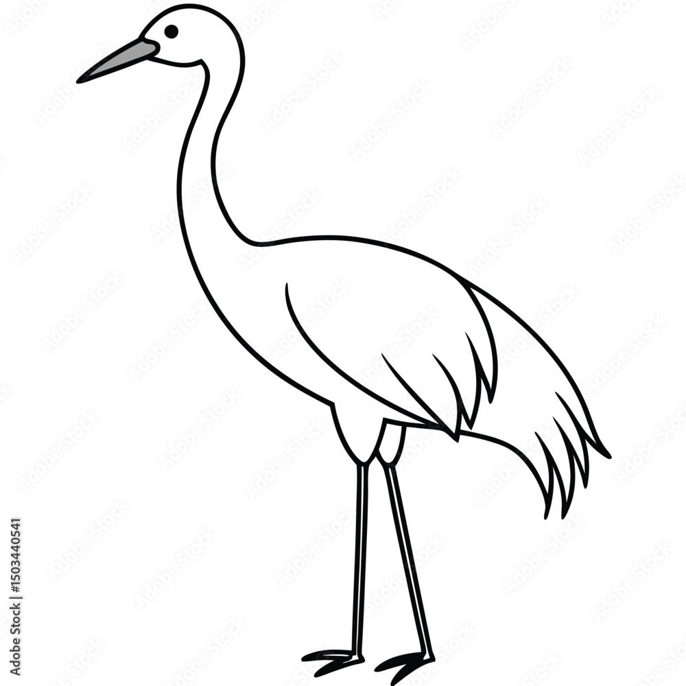 Obraz premium Sandhill Crane vector illustration white background