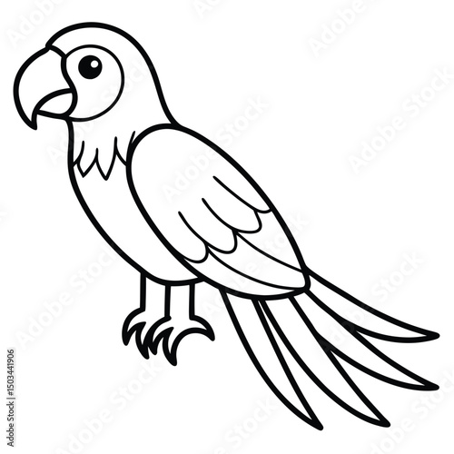 Scarlet Macaw vector illustration white background