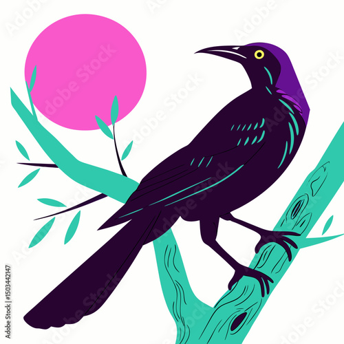 Vibrant vector illustration of a Great-tailed Grackle, showcasing its iridescent plumage and distinctive long tail—ideal for nature-themed digital projects