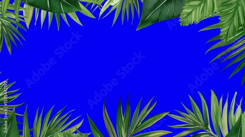 Tropical leaves vibrant frame animation, transparent 4K video, green screen