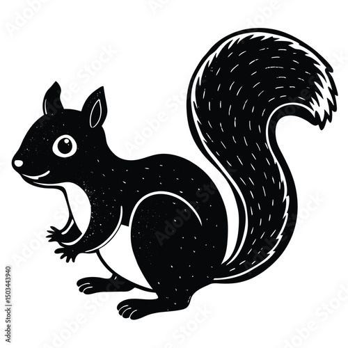 Squirrel vector illustration white background