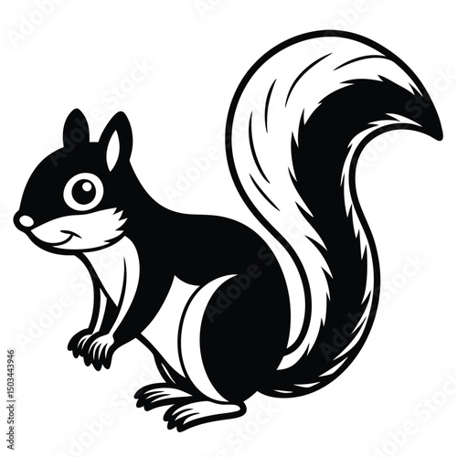 Squirrel vector illustration white background