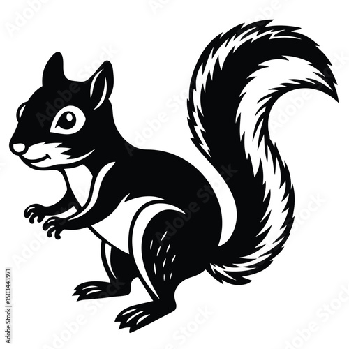 Squirrel vector illustration white background