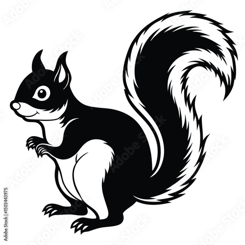 Squirrel vector illustration white background