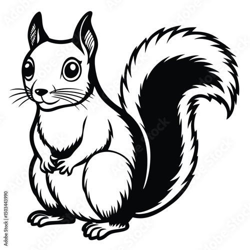 Squirrel vector illustration white background