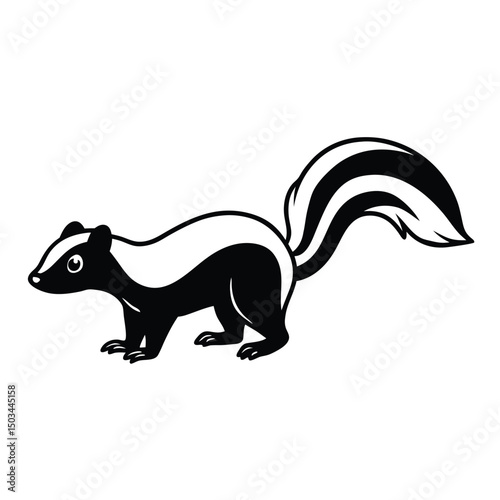 Striped Skunk vector illustration white background