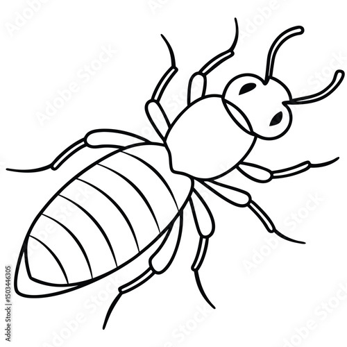 Termite vector illustration white background