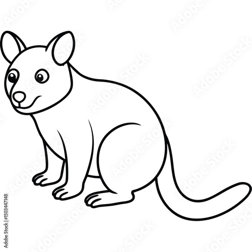 Tree Kangaroo vector illustration white background