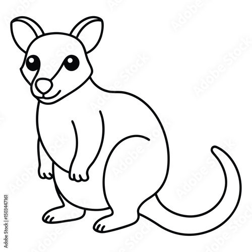 Tree Kangaroo vector illustration white background