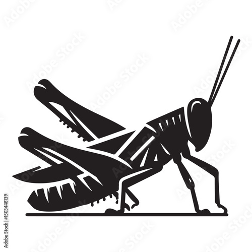Detailed Black Grasshopper or Locust Vector Silhouette