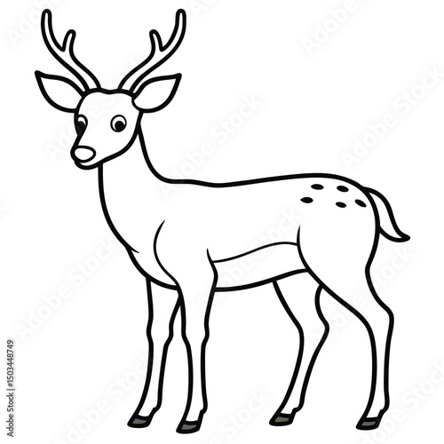 White Tailed Deer vector illustration white background