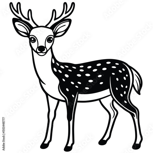 White Tailed Deer vector illustration white background