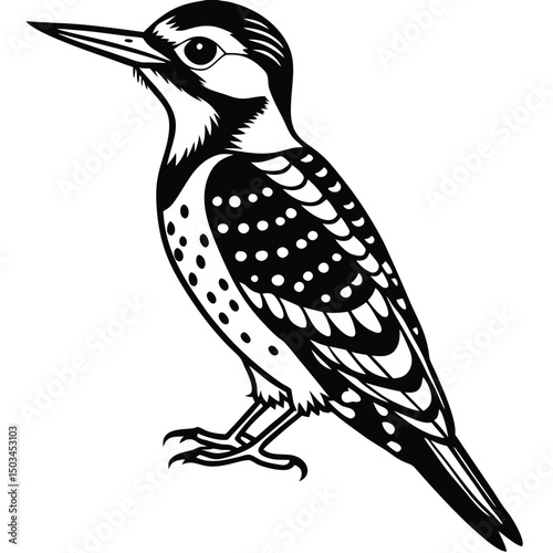Yellow Belleid Sapsucker vector illustration white background