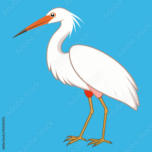 Elegant vector illustration of a white morph Reddish Egret, capturing its graceful stance and distinctive features in high-quality detail.