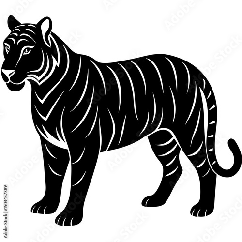 Tiger Silhouette  isolated white Background 