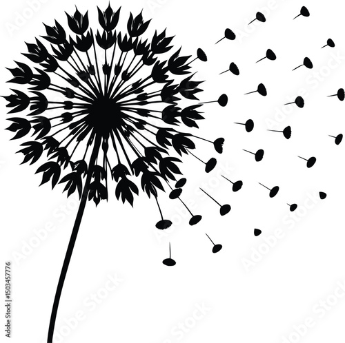 Dandelion Puff Silhouette with Seeds Blowing Away