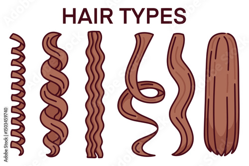 Illustrated diagram of hair types in brown tones, showing progression from coily, curly, wavy to straight strands. Useful in hair care diversity materials and educational content
