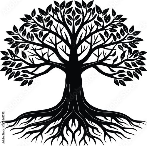Ancient Tree Silhouette with Large Root Base