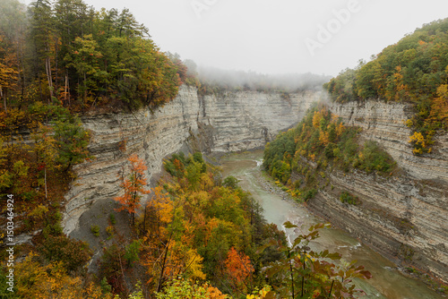 Letchworth Canyon Fall Colours