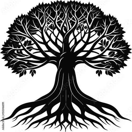 Banyan Tree Silhouette with Multiple Trunks