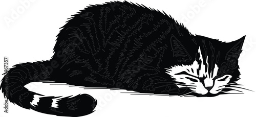 Silhouette lazy cat animal tired full body, black color only