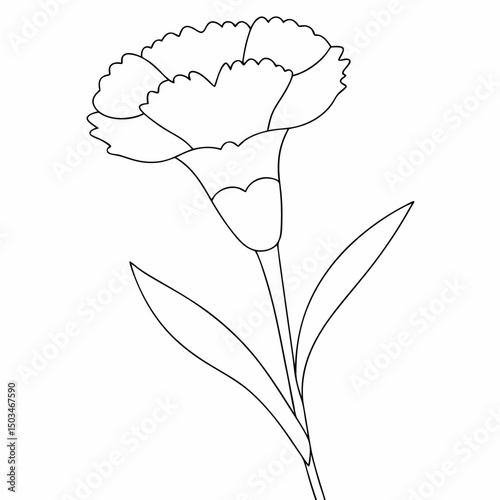 Carnation coloring page simple and minimal line art illustration on white background