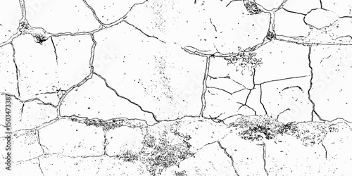  white surface with a network of black cracks and textured surface details visible white grunge background.