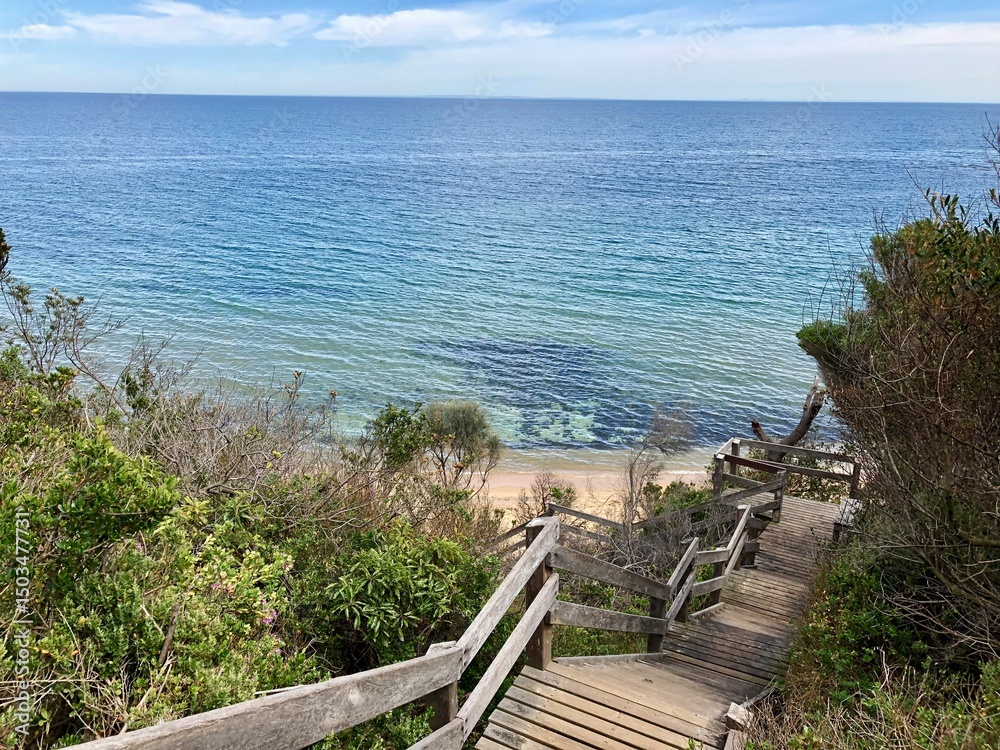 Obraz premium Crystal-blue ocean view from a staircase leading through lush coastal vegetation.