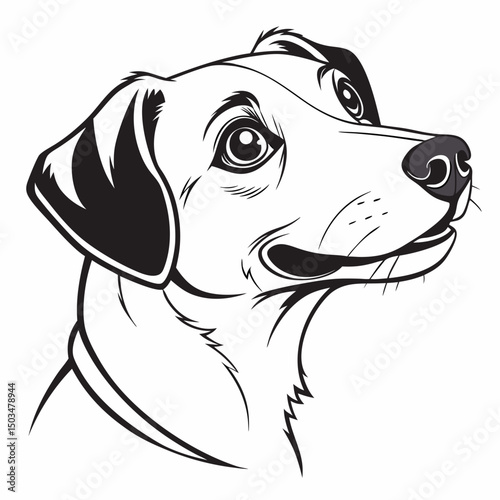 Dog vector