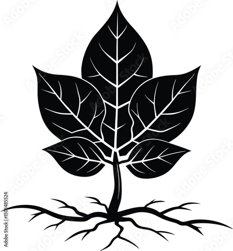 Leaf Growing Out Of A Crack Silhouette