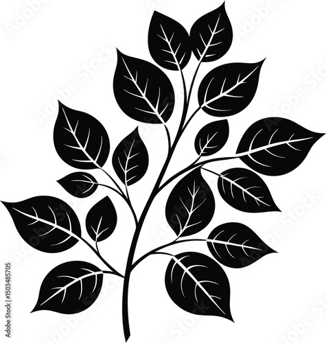 Leaf Sprig Silhouette Multiple Leaves On Stem