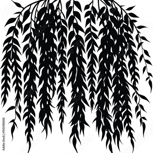 Long Drooping Willow Leaves Silhouette