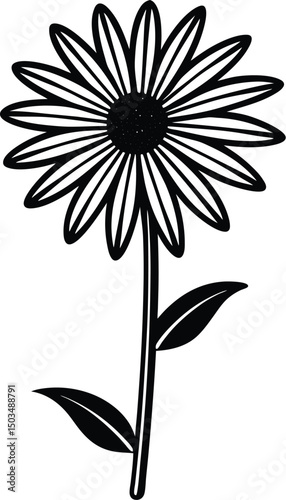 Minimalist Daisy Silhouette On Long Stem
