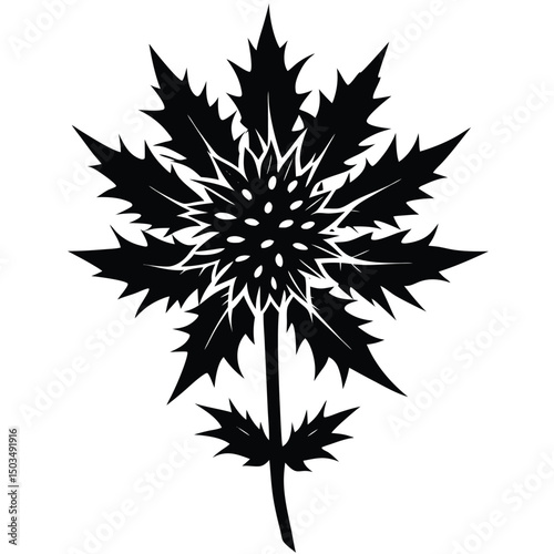 cannabis leaf vector illustration