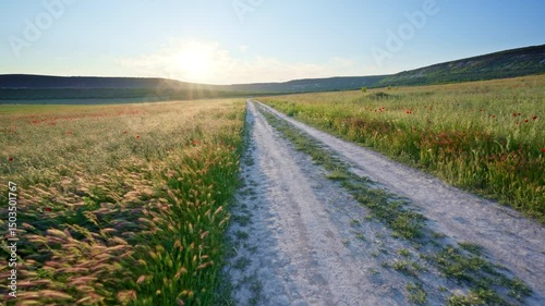 Fly over the road lane in spring meadow at the sunset. Nature and travel scene.