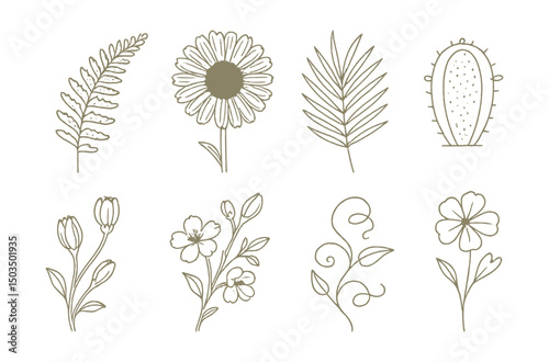 Line style icons of botanical illustration: fern with spores, detailed daisy diagram, palm leaf study, flower bud stages, flowering branch sketch, vine with tendrils, cactus anatomy icon, pressed