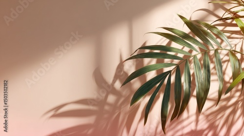 Palm Leaf Shadow Tropical Minimalist Green Plant on Peach Wall Backdrop.