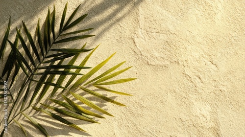 Palm Frond Shadow Tropical Texture on Textured Wall with Sunny Backdrop.