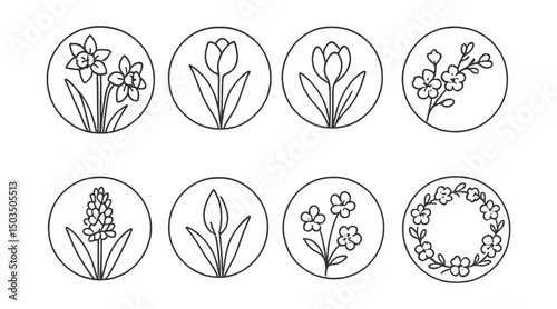 Line style icons of seasonal flowers: spring daffodils in circular frame, blooming tulip in round icon, crocus flower circle, cherry blossom spray, hyacinth curve, fresh bud in ring, early blooms