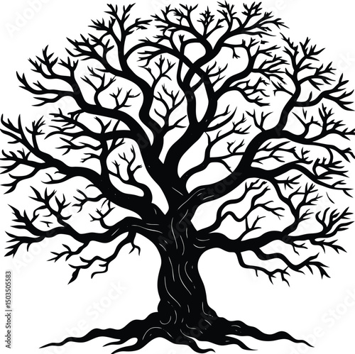 Silhouette of a Maple Tree in Fall with Sparse Leaves