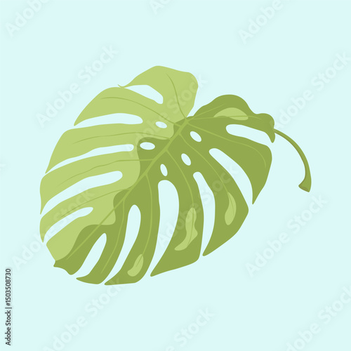 Mottled green monstera leaf with cutouts on a blue background, tropical plant.