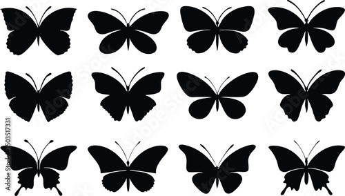 Collection of twelve black butterfly silhouettes arranged in a grid pattern on a white background