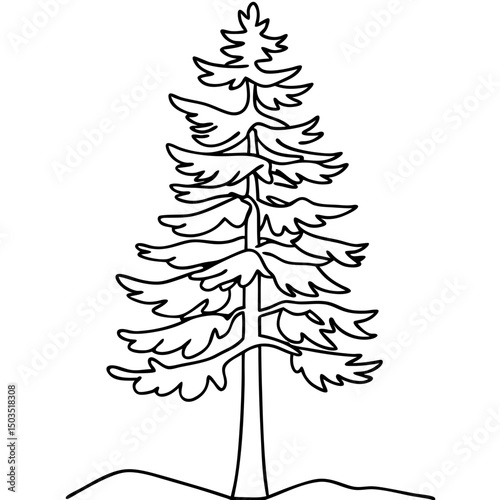 Simple evergreen tree drawing.  Single conifer illustration perfect for holiday cards or nature themed designs.