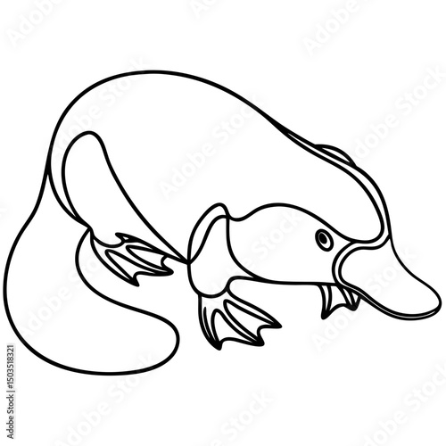 Platypus Ornithorhynchus anatinus illustration. Detailed platypus drawing shows unique mammal with bill, fur, and webbed feet. Platypus image perfect for educational materials.