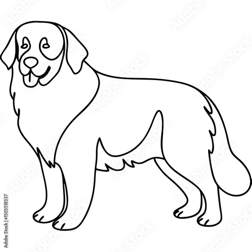 Bernese Mountain Dog portrait, line art illustration, black and white, for pet websites