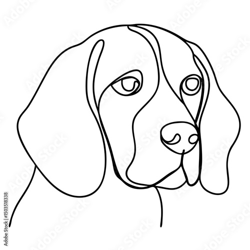Beagle portrait, line art drawing, black and white, for pet websites