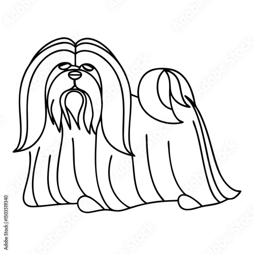 Lhasa Apso dog illustration, line art style, black and white, for pet websites