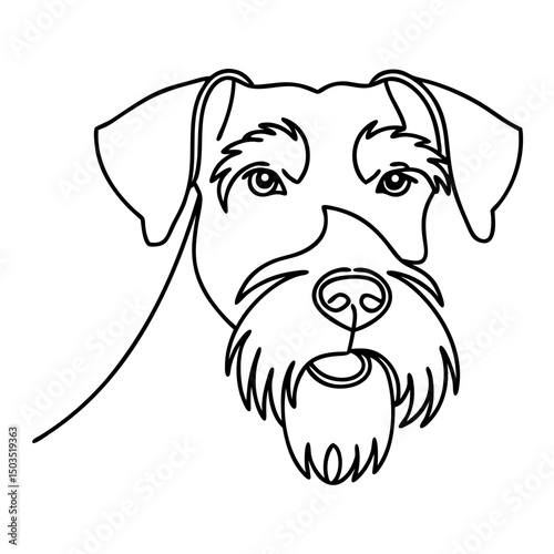 Miniature Schnauzer dog portrait line art. Simple line drawing of miniature schnauzer head. Elegant schnauzer illustration perfect for pet lovers and dog breed enthusiasts.